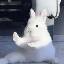 o9o9i9