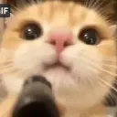 fly0itsme