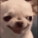 avatar Kaijieow