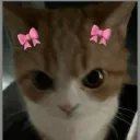 maxima_uwu