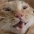 drperkyfr