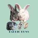 barrio_buns