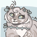 avatar ⟡﹒Nova﹒⟡