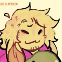 avatar ⟡﹒Nova﹒⟡