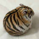 avatar 🍓SillyStrawberry🍓