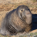 avatar my mom thinks im stupid