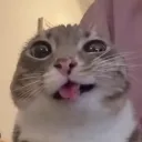 you_will.die