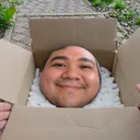 sinofpig