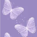 sunnysierra12