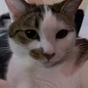 onlymoisties