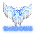 bikershadow