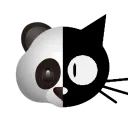 pandadankucing