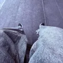 jaydencomesyt