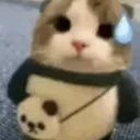 comradelovebacons