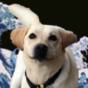 ._.waves._. discord avatar