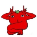 avatar Bianca J. Camelio