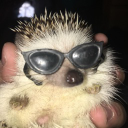 gumb_y