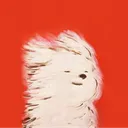 caillouxrouge
