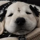 waifuniko