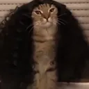 rafii_14