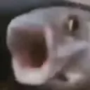 uwusenpai21