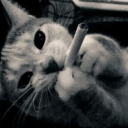 avatar 𝐗𝐈𝐈.