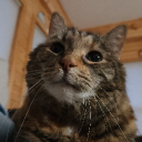 MPㅡ