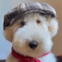 Lui's Avatar