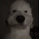 Lui's Avatar