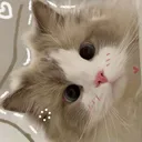 pixiraine