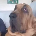 iamluka0_0