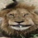 avatar смерть в нищите