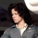 sawchelsea