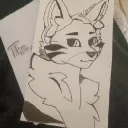 stealtcat_ttv