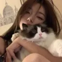 ynixty