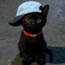 avatar nla.
