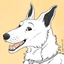 maxi_2601 avatar