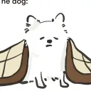 birdko