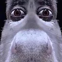 sillyguy213