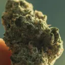 cyberskunk.