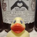 duckphillplatypus