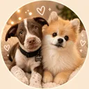 neverendingdogs