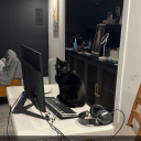 avatar aethy -`✮´-