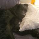 avatar aethy -`✮´-