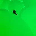 robi2121