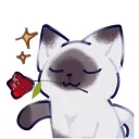 yobooboo