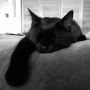 topi_ii's Avatar