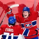 canadianfrenchfries3254