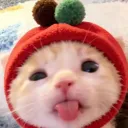 meowsio