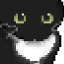 regulaplayer